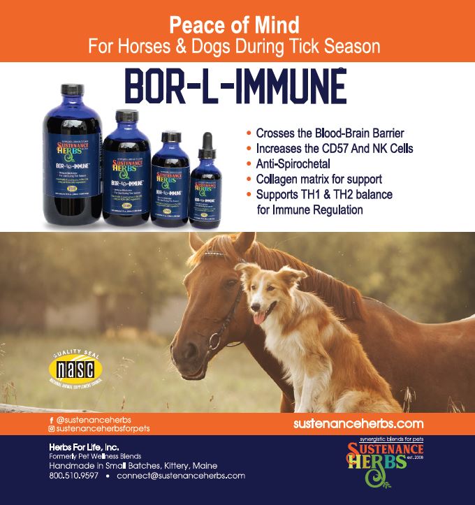 Bor-L-Immune® - Peace of Mind during Tick Season